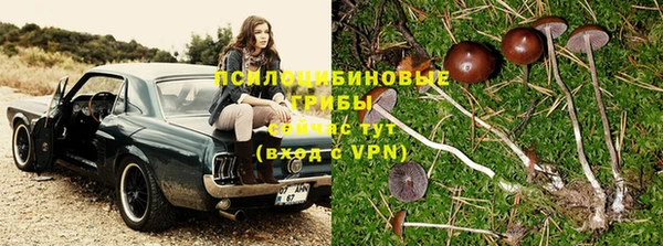 дурь Майский