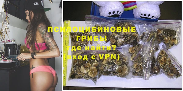 стафф Магадан