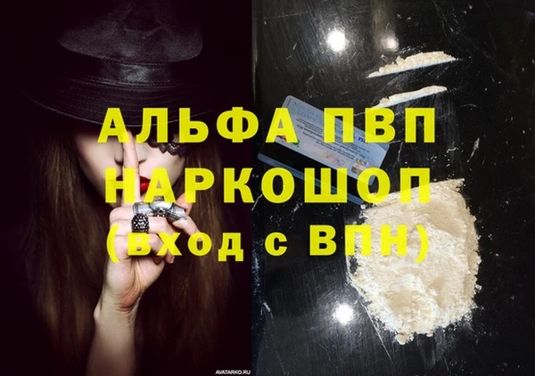стафф Магадан