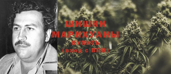 стафф Магадан