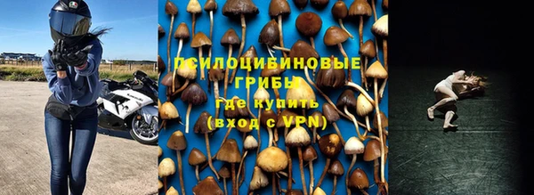 твердый Мегион