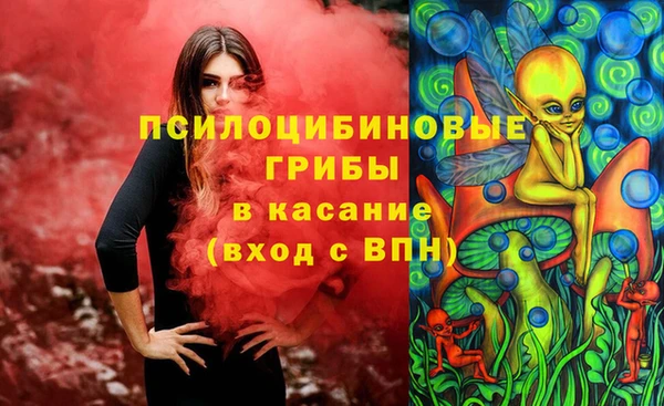 дурь Майский