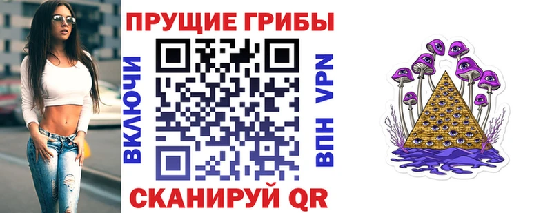 Купить  Юрьев-Польский  Псилоцибиновые грибы мухоморы 