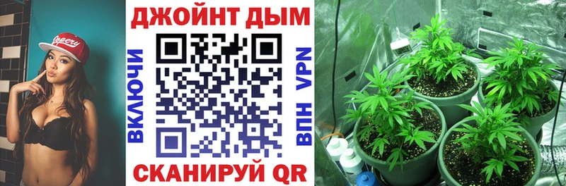 Купить  Юрьев-Польский  Канабис сатива 